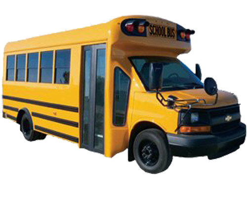 Small School Bus limo